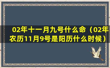 02年十一月九号什么命（02年农历11月9号是阳历什么时候）