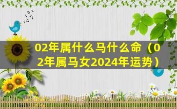 02年属什么马什么命（02年属马女2024年运势）