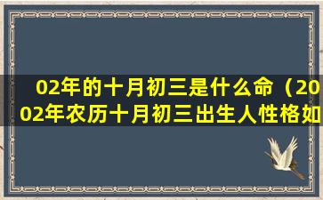 02年的十月初三是什么命（2002年农历十月初三出生人性格如何）