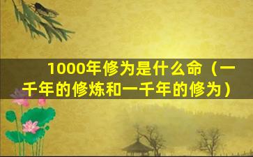 1000年修为是什么命（一千年的修炼和一千年的修为）