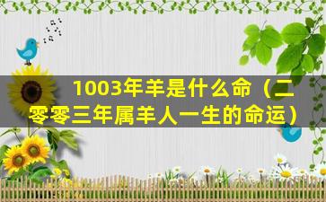 1003年羊是什么命（二零零三年属羊人一生的命运）