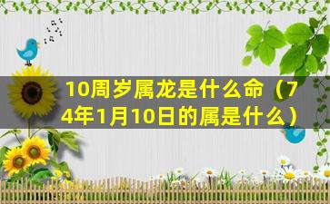 10周岁属龙是什么命（74年1月10日的属是什么）