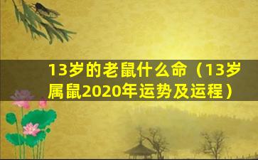 13岁的老鼠什么命（13岁属鼠2020年运势及运程）