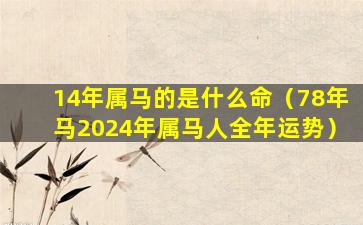 14年属马的是什么命（78年马2024年属马人全年运势）