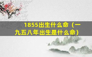 1855出生什么命（一九五八年出生是什么命）