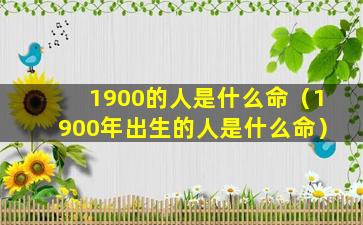 1900的人是什么命（1900年出生的人是什么命）