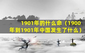 1901年的什么命（1900年到1901年中国发生了什么）