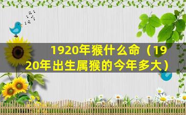 1920年猴什么命（1920年出生属猴的今年多大）