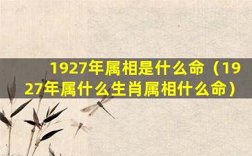 1927年属相是什么命（1927年属什么生肖属相什么命）