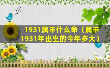 1931属羊什么命（属羊1931年出生的今年多大）