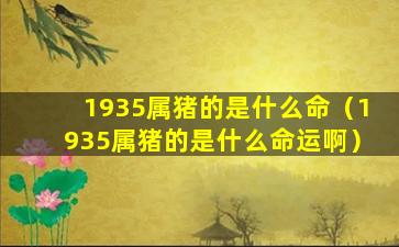 1935属猪的是什么命（1935属猪的是什么命运啊）