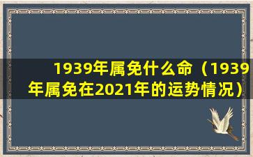 1939年属免什么命（1939年属免在2021年的运势情况）