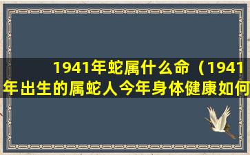 1941年蛇属什么命（1941年出生的属蛇人今年身体健康如何）