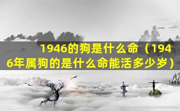 1946的狗是什么命（1946年属狗的是什么命能活多少岁）