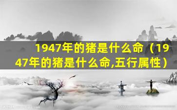 1947年的猪是什么命（1947年的猪是什么命,五行属性）