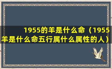 1955的羊是什么命（1955羊是什么命五行属什么属性的人）