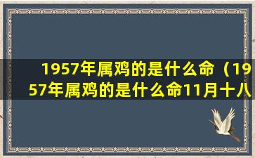 1957年属鸡的是什么命（1957年属鸡的是什么命11月十八）