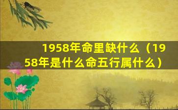 1958年命里缺什么（1958年是什么命五行属什么）