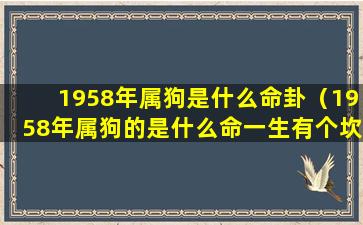 1958年属狗是什么命卦（1958年属狗的是什么命一生有个坎儿）