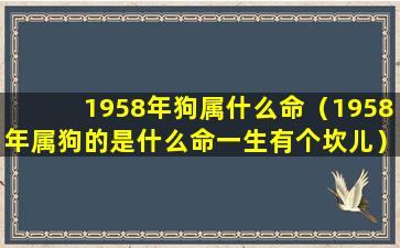 1958年狗属什么命（1958年属狗的是什么命一生有个坎儿）