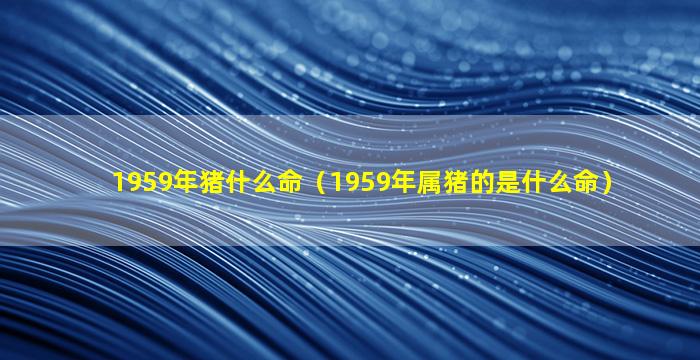 1959年猪什么命（1959年属猪的是什么命）