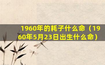 1960年的耗子什么命（1960年5月23日出生什么命）