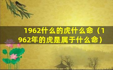 1962什么的虎什么命（1962年的虎是属于什么命）