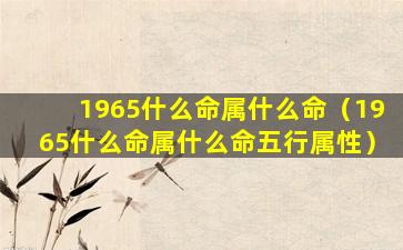 1965什么命属什么命（1965什么命属什么命五行属性）