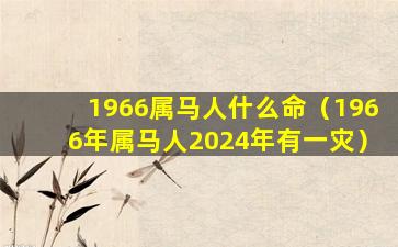 1966属马人什么命（1966年属马人2024年有一灾）