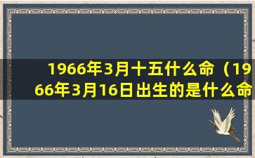 1966年3月十五什么命（1966年3月16日出生的是什么命）