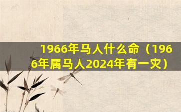 1966年马人什么命（1966年属马人2024年有一灾）