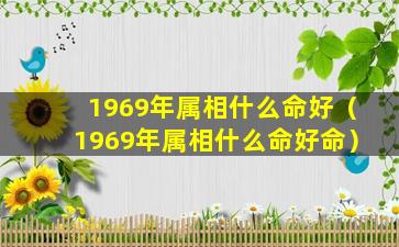 1969年属相什么命好（1969年属相什么命好命）