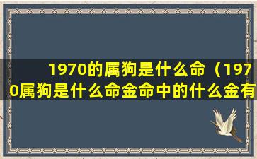 1970的属狗是什么命（1970属狗是什么命金命中的什么金有绣花金吗）