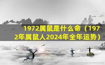 1972属鼠是什么命（1972年属鼠人2024年全年运势）