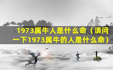 1973属牛人是什么命（请问一下1973属牛的人是什么命）