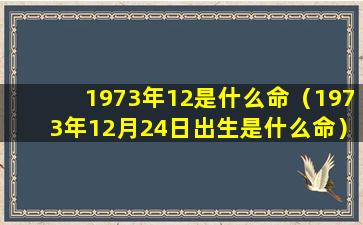 1973年12是什么命（1973年12月24日出生是什么命）