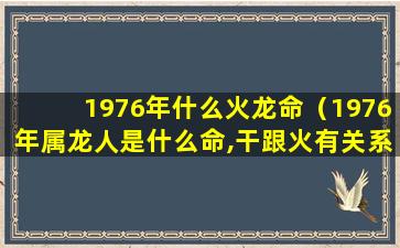 1976年什么火龙命（1976年属龙人是什么命,干跟火有关系的生意有财吗）