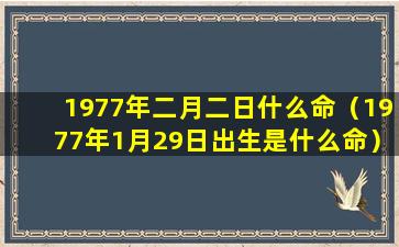 1977年二月二日什么命（1977年1月29日出生是什么命）