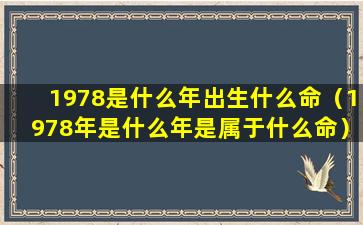 1978是什么年出生什么命（1978年是什么年是属于什么命）