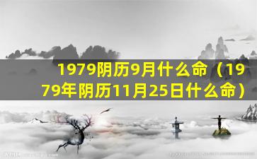 1979阴历9月什么命（1979年阴历11月25日什么命）