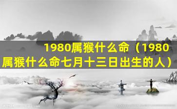 1980属猴什么命（1980属猴什么命七月十三日出生的人）