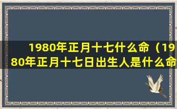 1980年正月十七什么命（1980年正月十七日出生人是什么命）