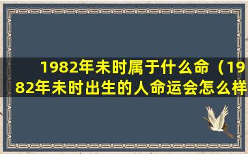 1982年未时属于什么命（1982年未时出生的人命运会怎么样）