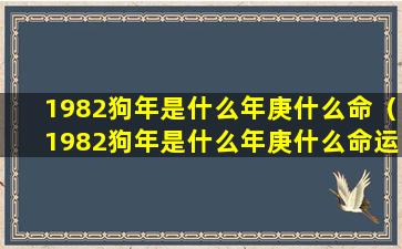 1982狗年是什么年庚什么命（1982狗年是什么年庚什么命运）