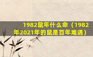 1982鼠年什么命（1982年2021年的鼠是百年难遇）