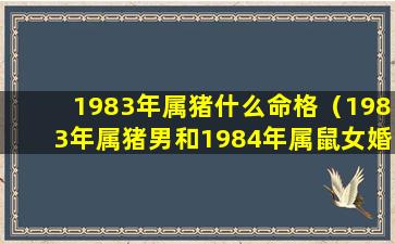 1983年属猪什么命格（1983年属猪男和1984年属鼠女婚姻）