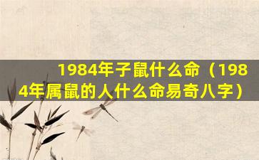 1984年子鼠什么命（1984年属鼠的人什么命易奇八字）