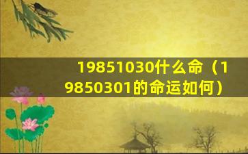 19851030什么命（19850301的命运如何）