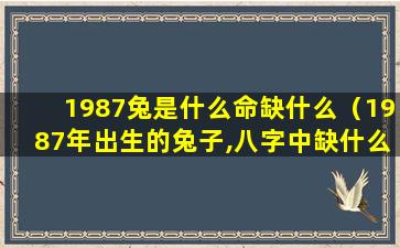 1987兔是什么命缺什么（1987年出生的兔子,八字中缺什么）