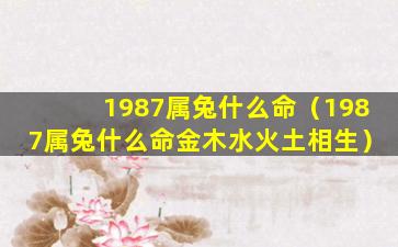 1987属兔什么命（1987属兔什么命金木水火土相生）